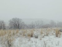 DSCN1804.JPG