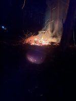 IMG_7099.jpeg