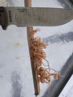 IMG_6379.jpeg