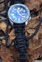 DSC_2081.JPG DSC_2081.JPG