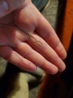 20240211_224652.jpg 20240211_224652.jpg