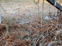 20240212_083000.jpg 20240212_083000.jpg