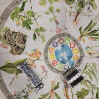 20240214_110513.jpg 20240214_110513.jpg