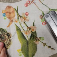 20240214_110620.jpg 20240214_110620.jpg