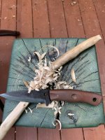 IMG_4075.jpeg