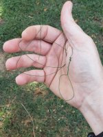 20240715_150321.jpg 20240715_150321.jpg