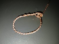 1000000736.jpg 1000000736.jpg