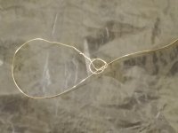 simplesnare.jpg simplesnare.jpg