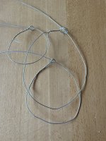 IMG_5526.jpeg IMG_5526.jpeg