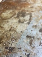 IMG_3099.jpeg IMG_3099.jpeg