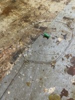 IMG_3100.jpeg IMG_3100.jpeg