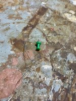 IMG_3091.jpeg IMG_3091.jpeg