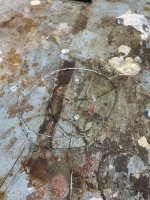 IMG_3101.jpeg IMG_3101.jpeg