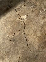 IMG_6482.jpeg IMG_6482.jpeg