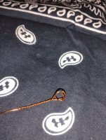 1000000512.jpg 1000000512.jpg