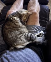 IMG_9688.jpeg