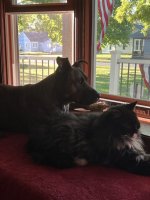 IMG_2125.jpeg