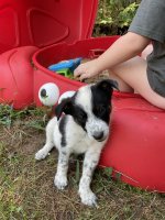 IMG_5916.jpeg