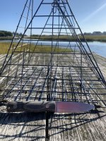 IMG_2619.jpeg