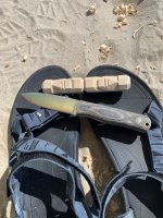 IMG_2636.jpeg