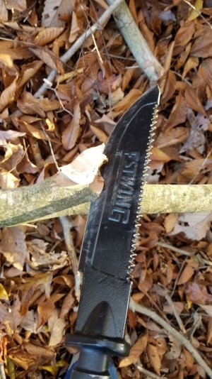 20201102_161611.jpg