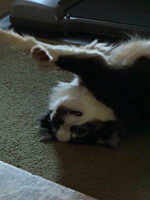 IMG_1120.jpeg