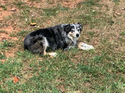 IMG_4325.jpeg
