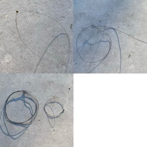 IMG_5963.jpeg IMG_5963.jpeg