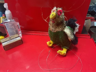 IMG_4352.jpeg IMG_4352.jpeg