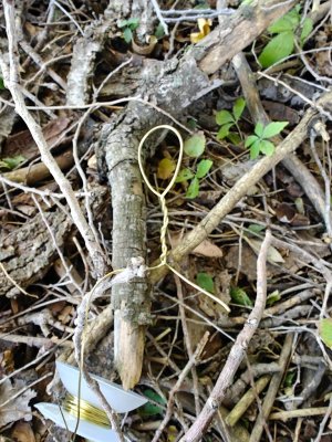 IMG20251023094943.jpg IMG20251023094943.jpg