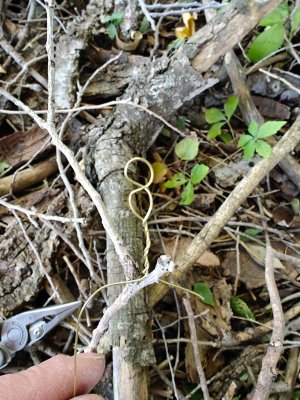 IMG20251023095030.jpg IMG20251023095030.jpg