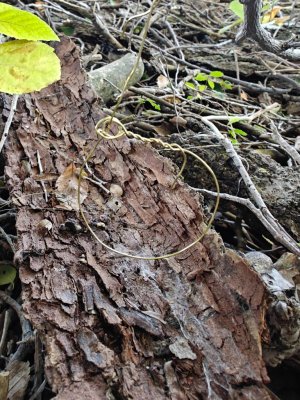 IMG_20251023_101350.jpg IMG_20251023_101350.jpg