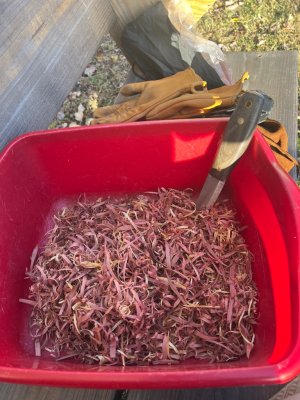 IMG_1352.jpeg IMG_1352.jpeg