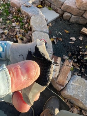 IMG_1353.jpeg IMG_1353.jpeg