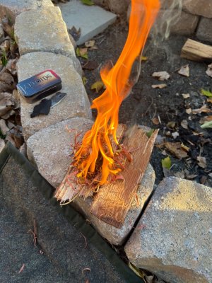 IMG_1355.jpeg IMG_1355.jpeg