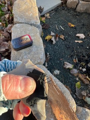 IMG_1356.jpeg IMG_1356.jpeg