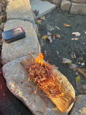 IMG_1358.jpeg IMG_1358.jpeg