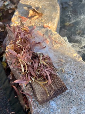 IMG_1361.jpeg IMG_1361.jpeg