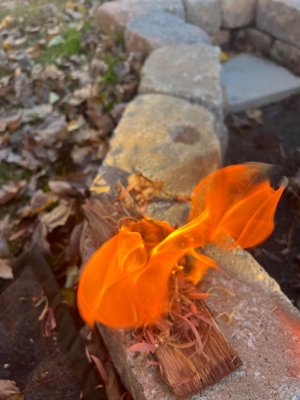 IMG_1362.jpeg IMG_1362.jpeg