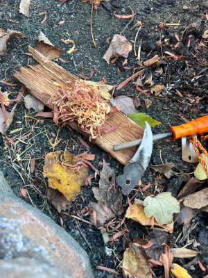 IMG_1363.jpeg IMG_1363.jpeg