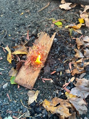 IMG_1364.jpeg IMG_1364.jpeg