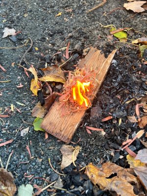 IMG_1365.jpeg IMG_1365.jpeg