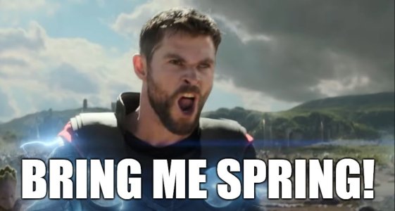 bring me spring.jpg