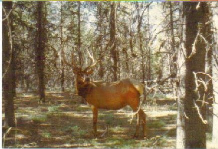 560506_648448081840700_41449458_n (2).jpg