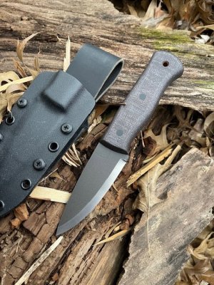 IMG_3366.jpeg IMG_3366.jpeg