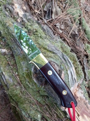 20260402_170246.jpg 20260402_170246.jpg