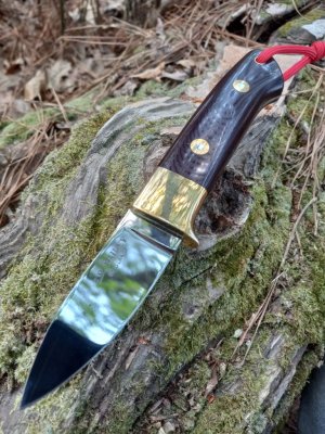 20260402_170302.jpg 20260402_170302.jpg