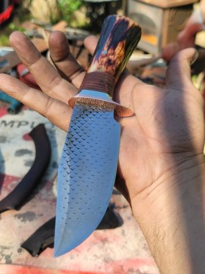 20260402_153838.jpg 20260402_153838.jpg