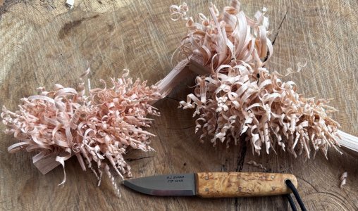 IMG_9022.jpeg IMG_9022.jpeg