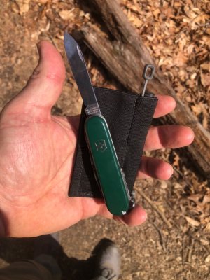 IMG_3453.jpeg IMG_3453.jpeg